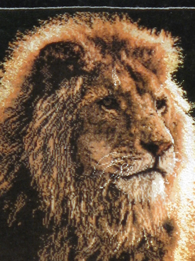 Modern Tabriz Pictorial Rug, No.11867 - Gsblank