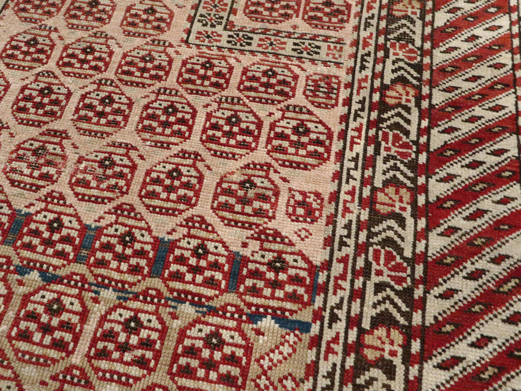 Antique Caucasian Shirvan Rug, No.20257 - Gsblank