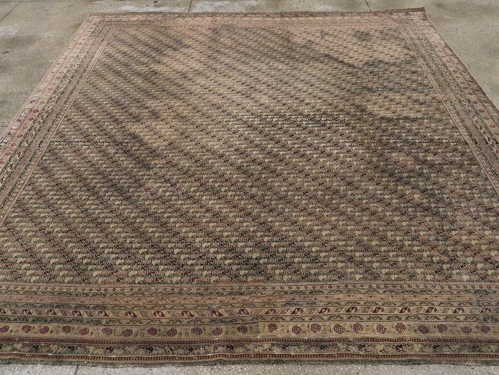 Antique Indian Agra Square Carpet, No.8541 - Gsblank