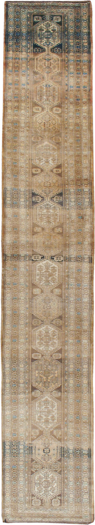 A Serab Runner, No.9482 - Gsblank